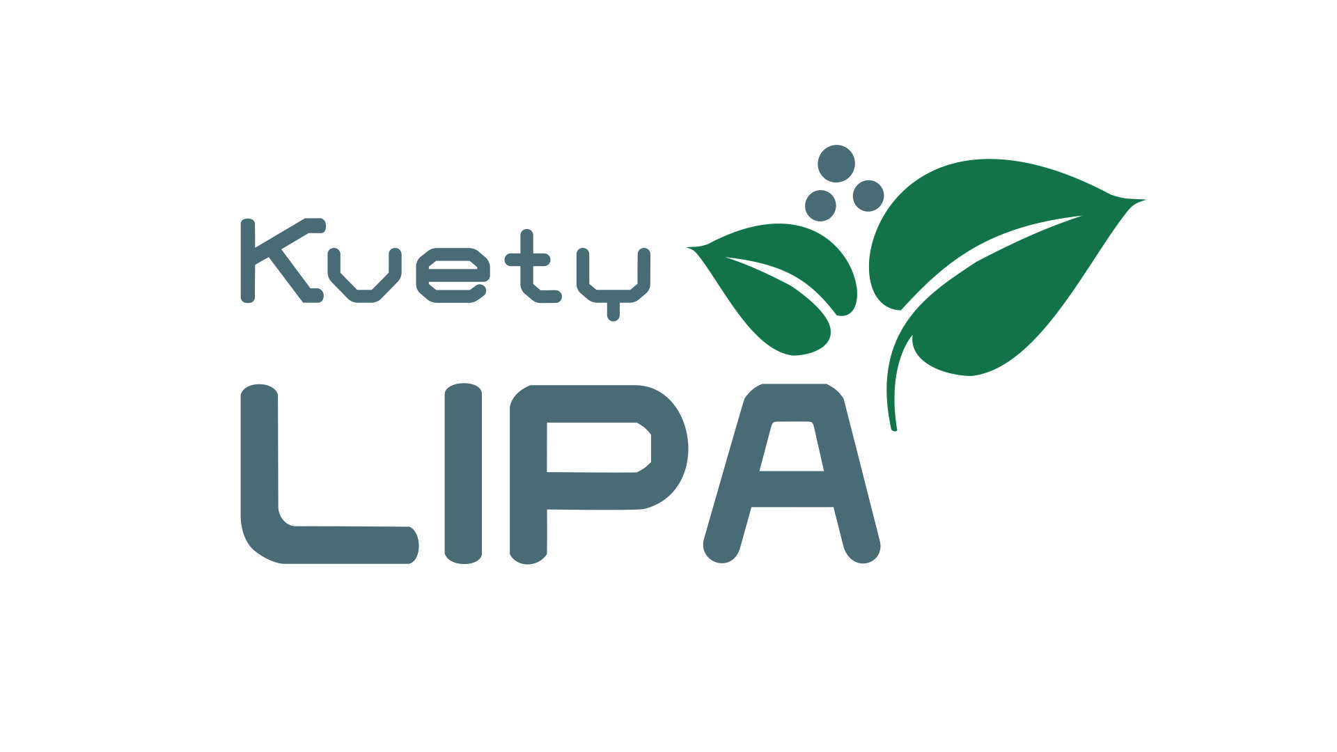 Kvety Lipa